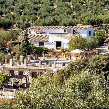 Hacienda La Buena Vida B&B En Appartementen Casita La Bruja Algarinejo Pokoj fotografie