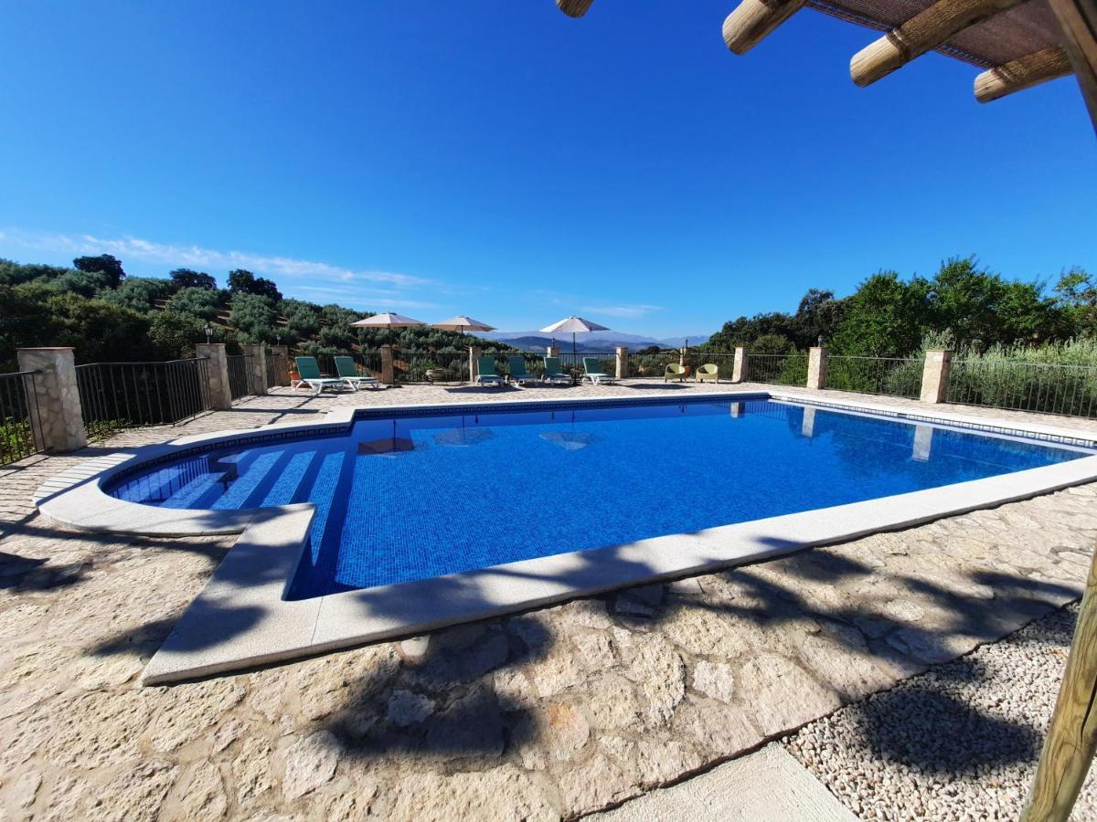 Hacienda La Buena Vida B&B En Appartementen Casita La Bruja Algarinejo Exteriér fotografie