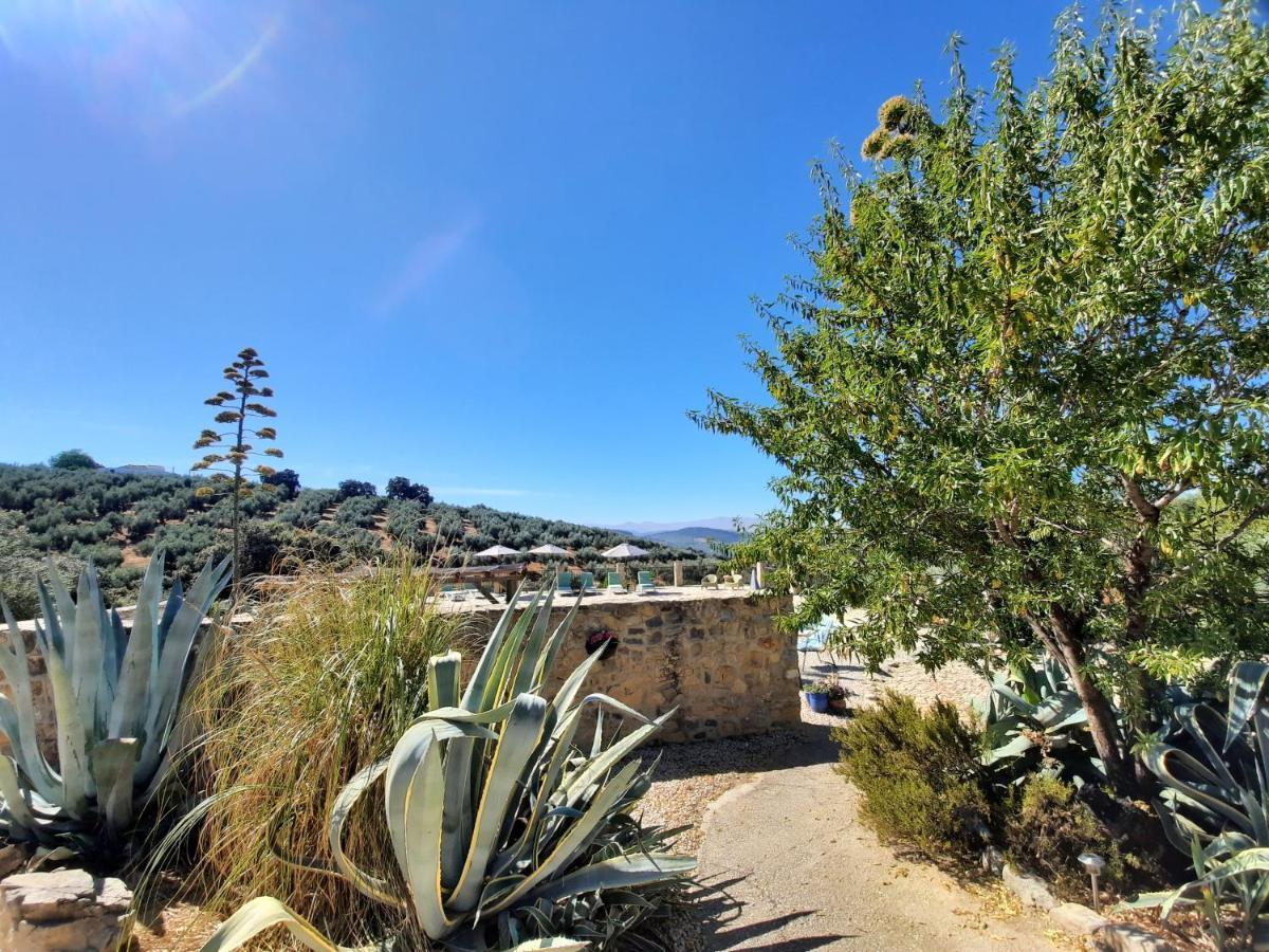 Hacienda La Buena Vida B&B En Appartementen Casita La Bruja Algarinejo Exteriér fotografie