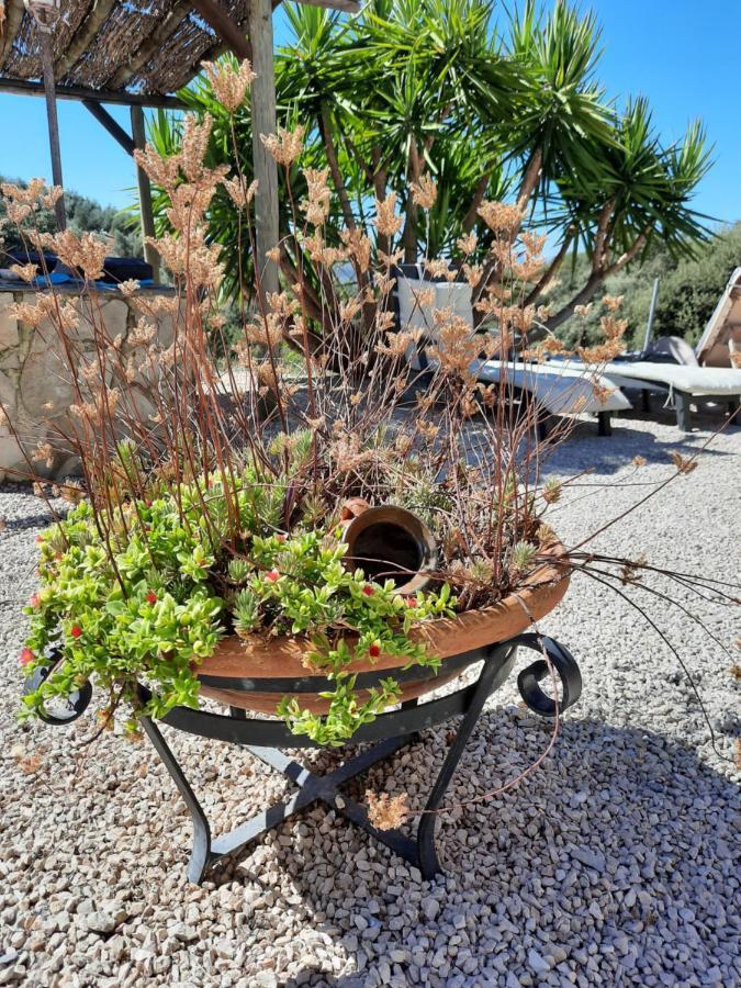 Hacienda La Buena Vida B&B En Appartementen Casita La Bruja Algarinejo Exteriér fotografie