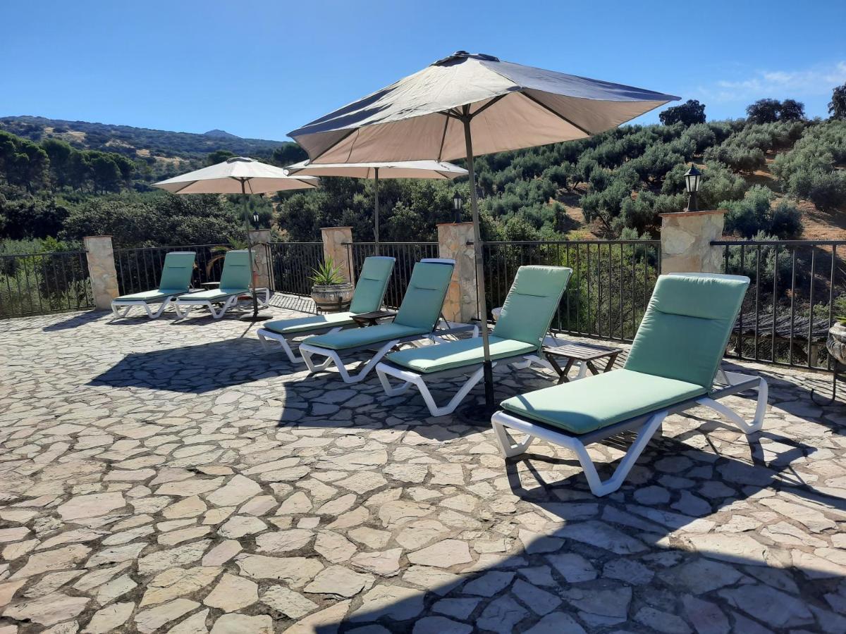 Hacienda La Buena Vida B&B En Appartementen Casita La Bruja Algarinejo Exteriér fotografie