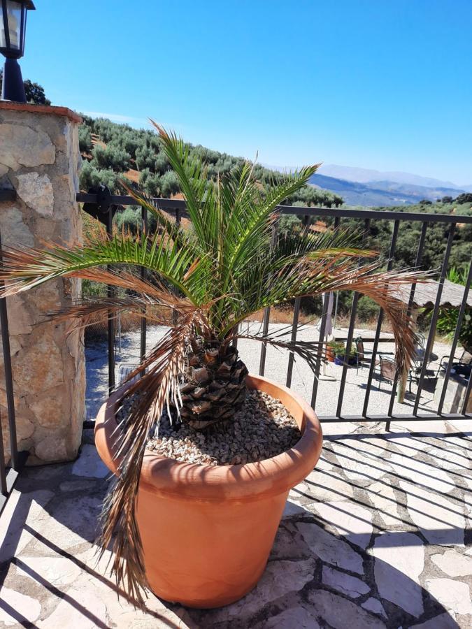Hacienda La Buena Vida B&B En Appartementen Casita La Bruja Algarinejo Exteriér fotografie