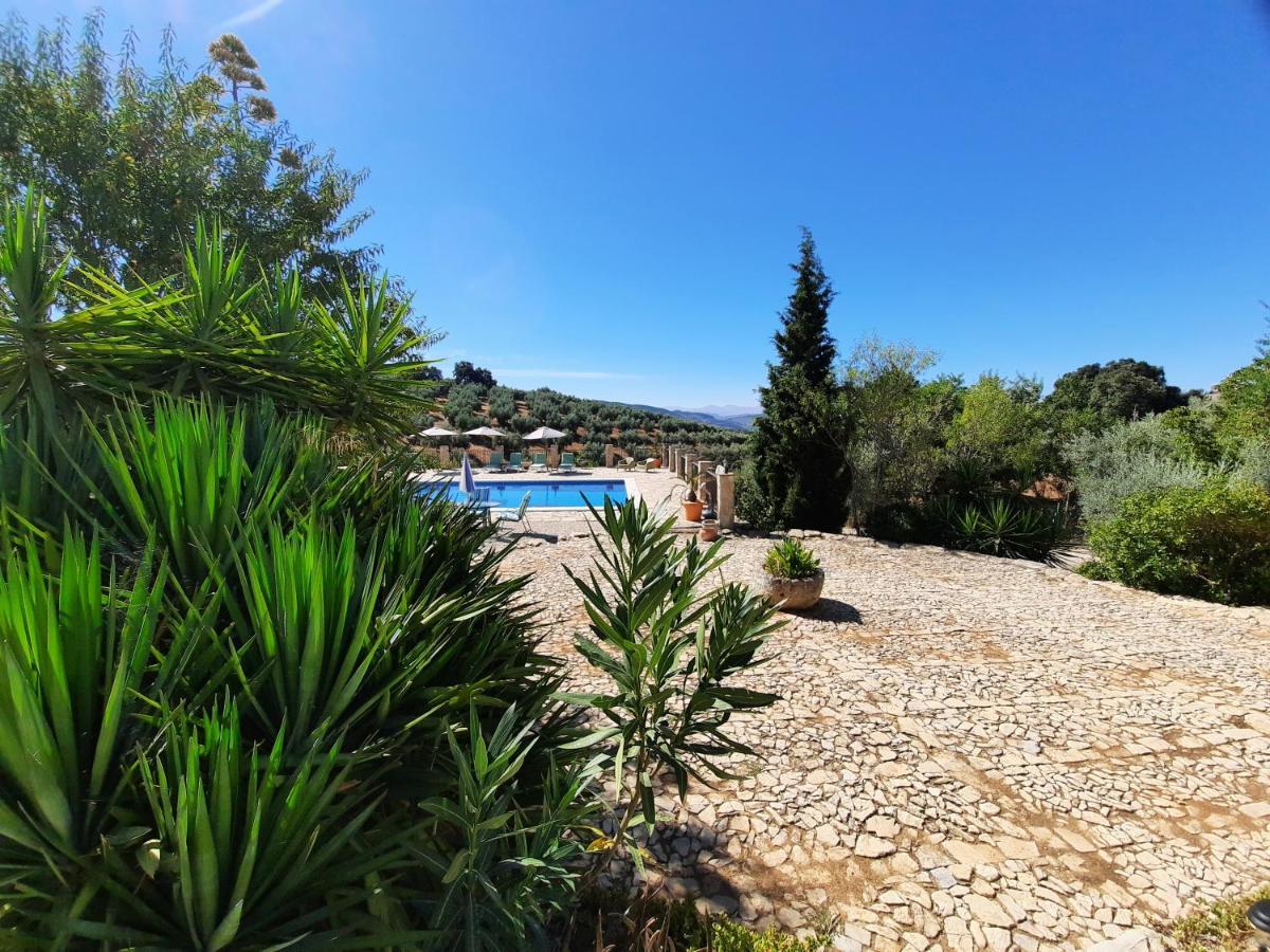 Hacienda La Buena Vida B&B En Appartementen Casita La Bruja Algarinejo Exteriér fotografie