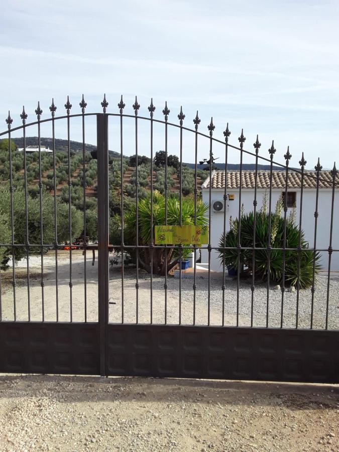 Hacienda La Buena Vida B&B En Appartementen Casita La Bruja Algarinejo Exteriér fotografie