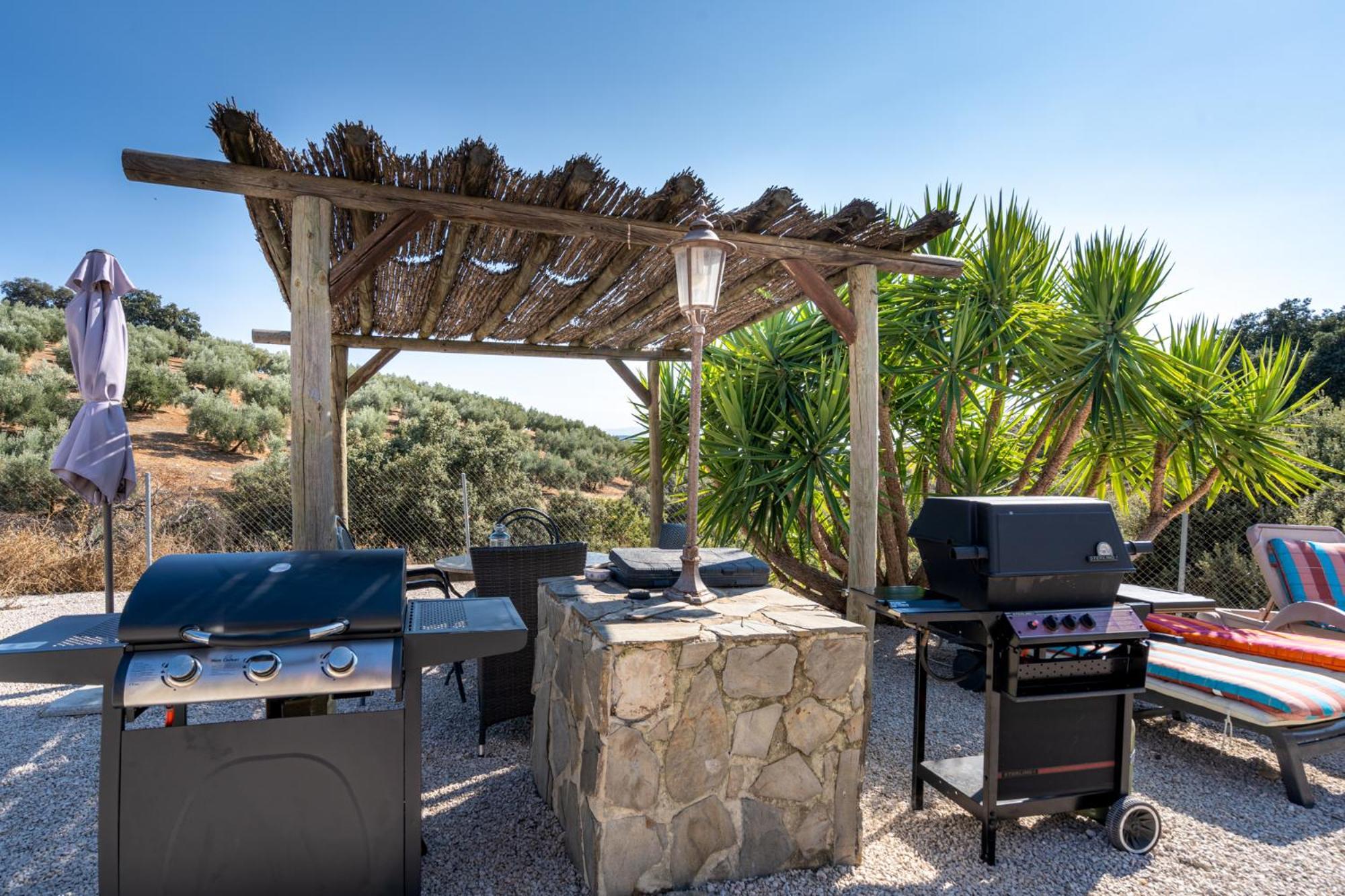 Hacienda La Buena Vida B&B En Appartementen Casita La Bruja Algarinejo Pokoj fotografie