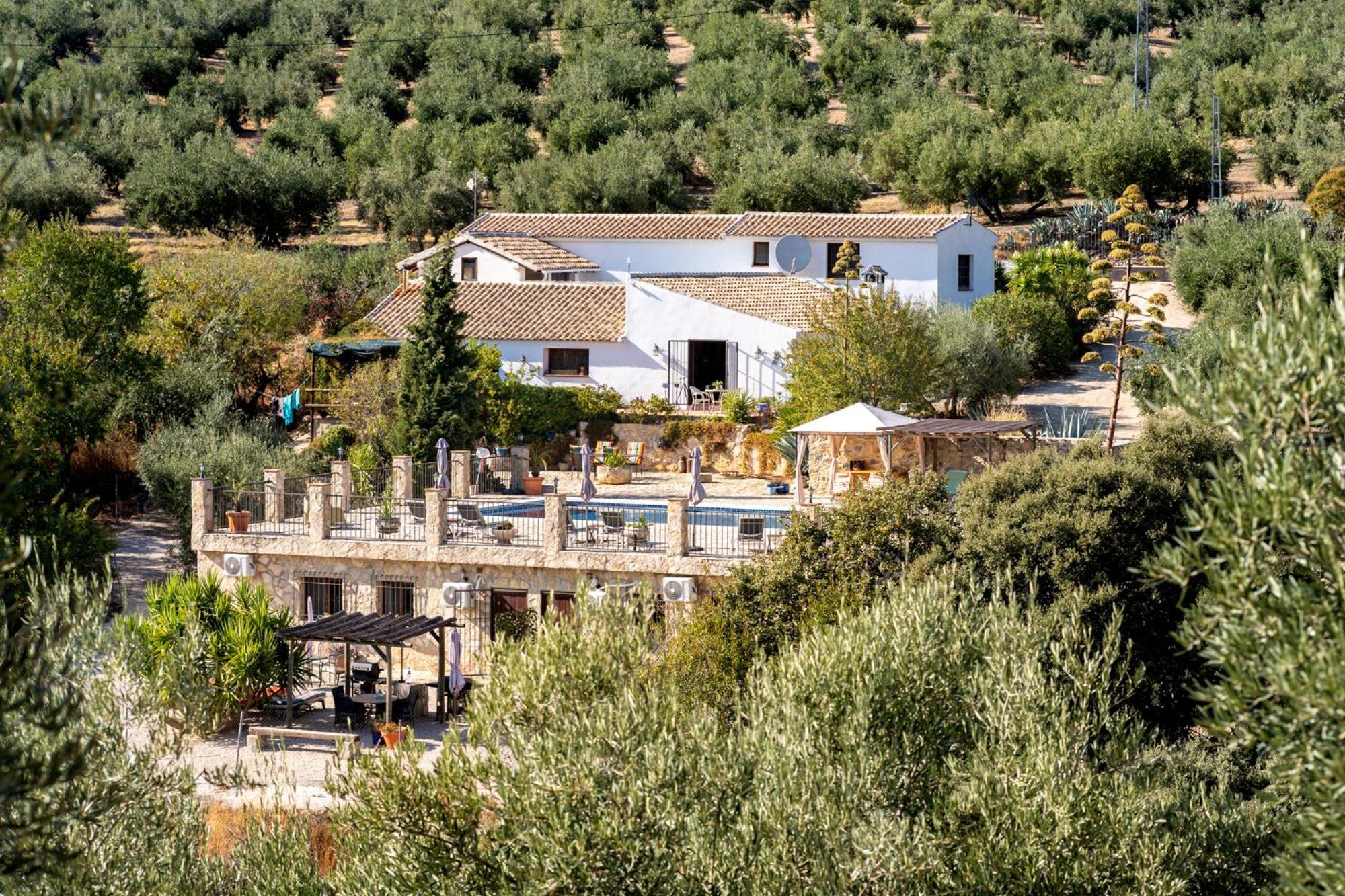 Hacienda La Buena Vida B&B En Appartementen Casita La Bruja Algarinejo Pokoj fotografie